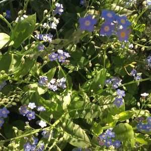 Meet your Posher, Kahtya